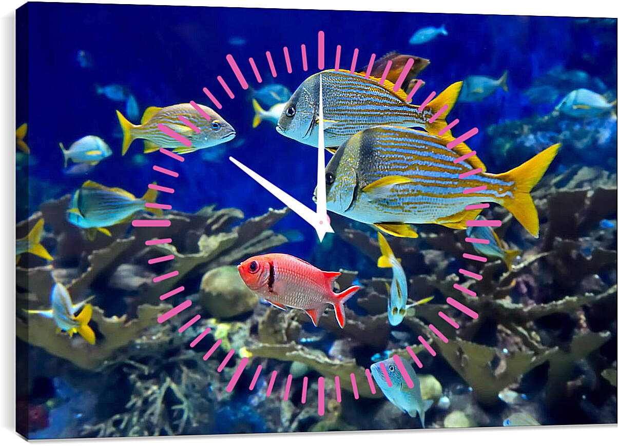 Часы картина - Аквариумные рыбки

