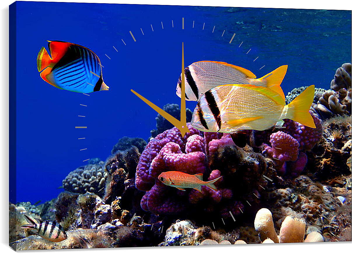 Часы картина - Красивые рыбки
