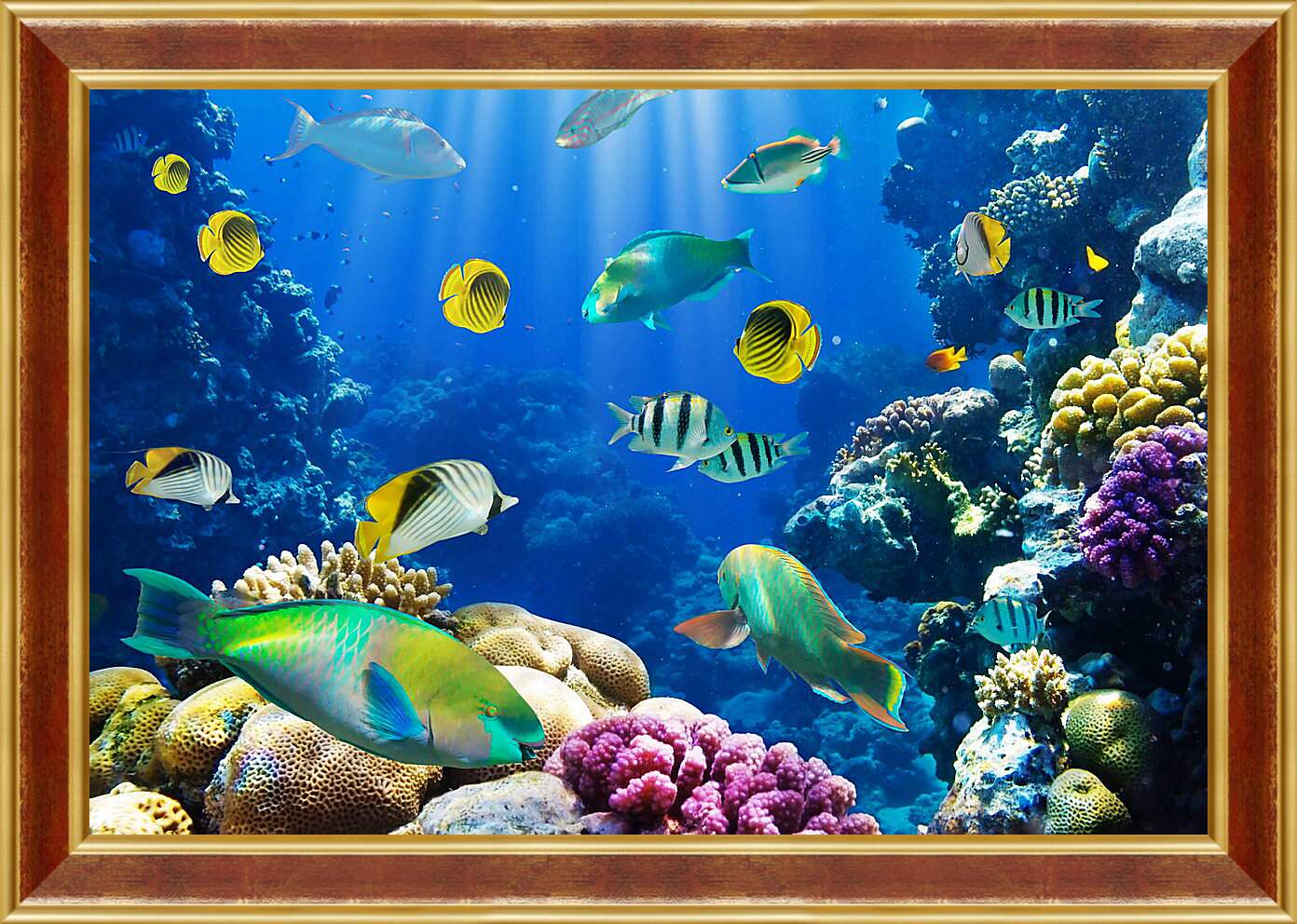Картина в раме - Рыбки в море
