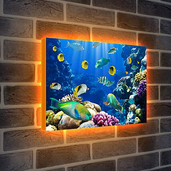 Лайтбокс световая панель - Рыбки в море
