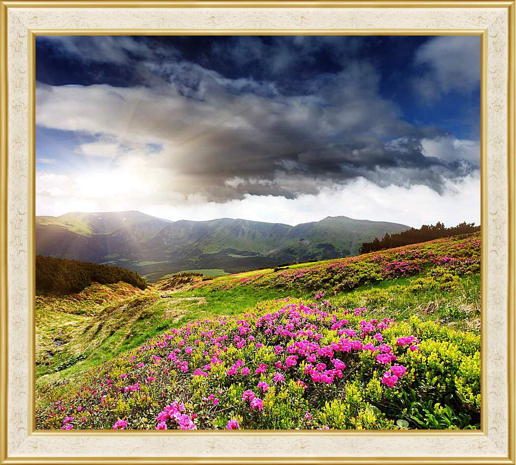 Картина в раме - Солнце греющее цветы на фоне гор