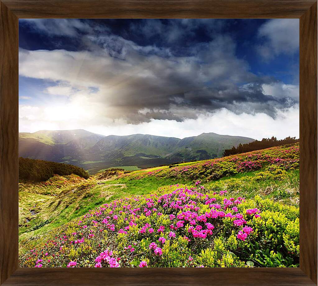 Картина в раме - Солнце греющее цветы на фоне гор