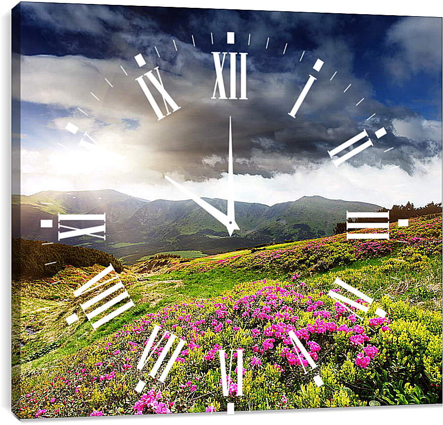 Часы картина - Солнце греющее цветы на фоне гор