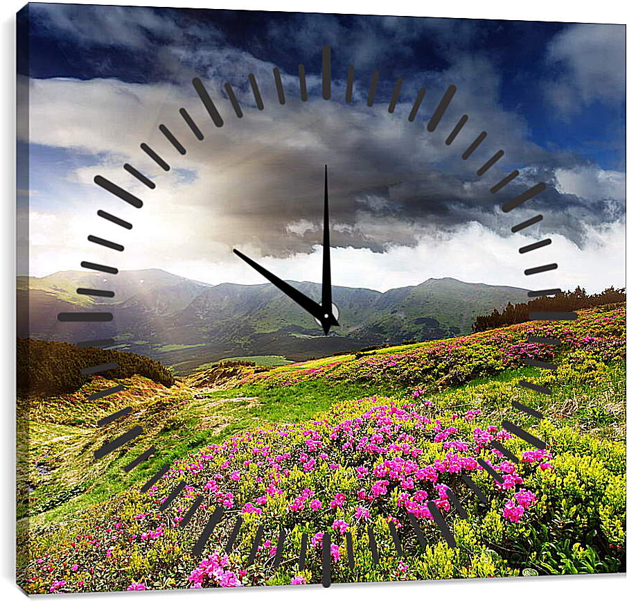 Часы картина - Солнце греющее цветы на фоне гор