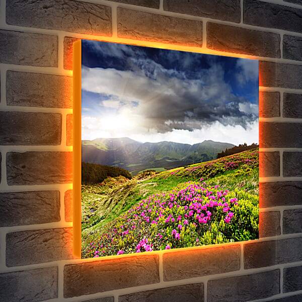 Лайтбокс световая панель - Солнце греющее цветы на фоне гор