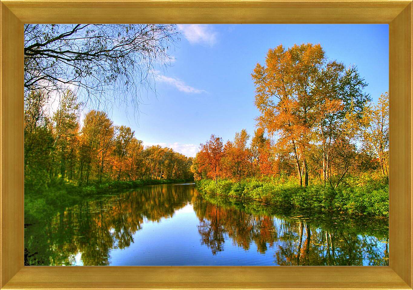 Картина в раме - Осень в лесу
