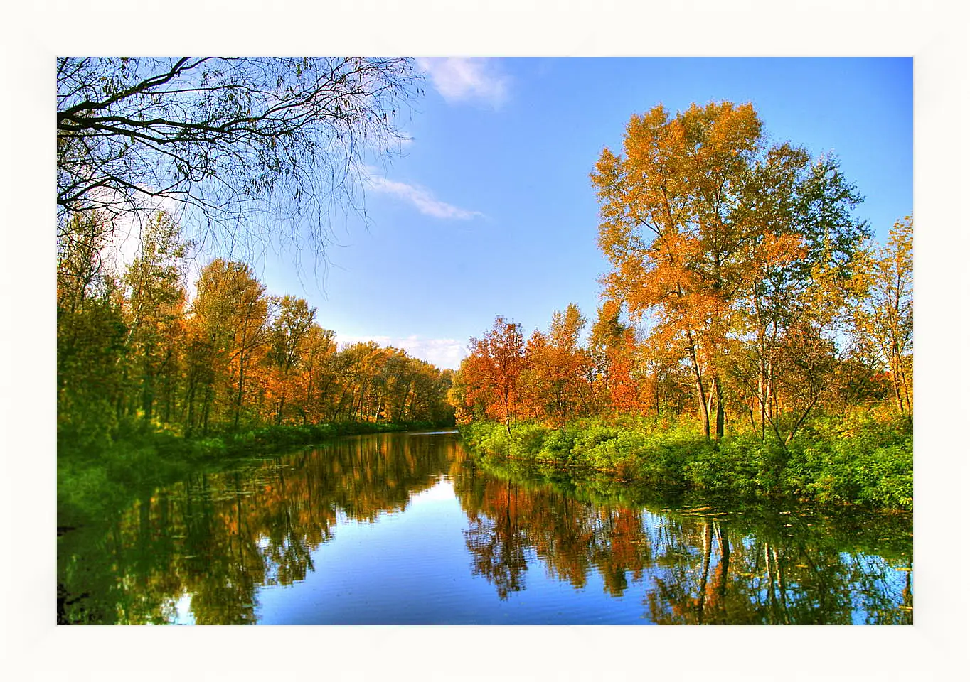 Картина в раме - Осень в лесу
