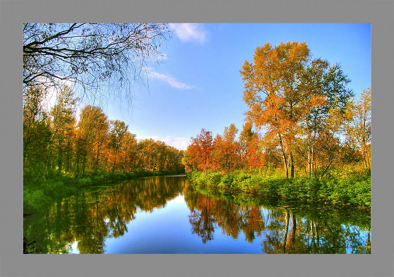 Картина в раме - Осень в лесу
