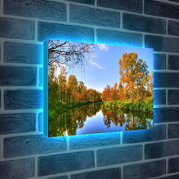 Лайтбокс световая панель - Осень в лесу
