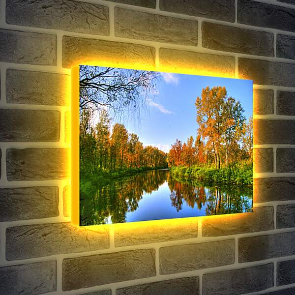 Лайтбокс световая панель - Осень в лесу
