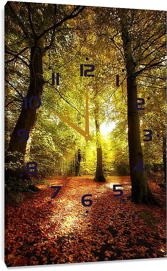 Часы картина - Солнце в деревьях
