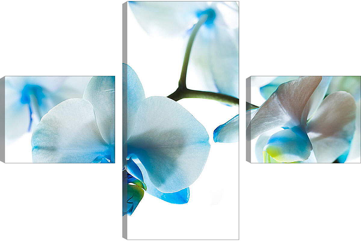 Модульная картина - Голубые цветы
