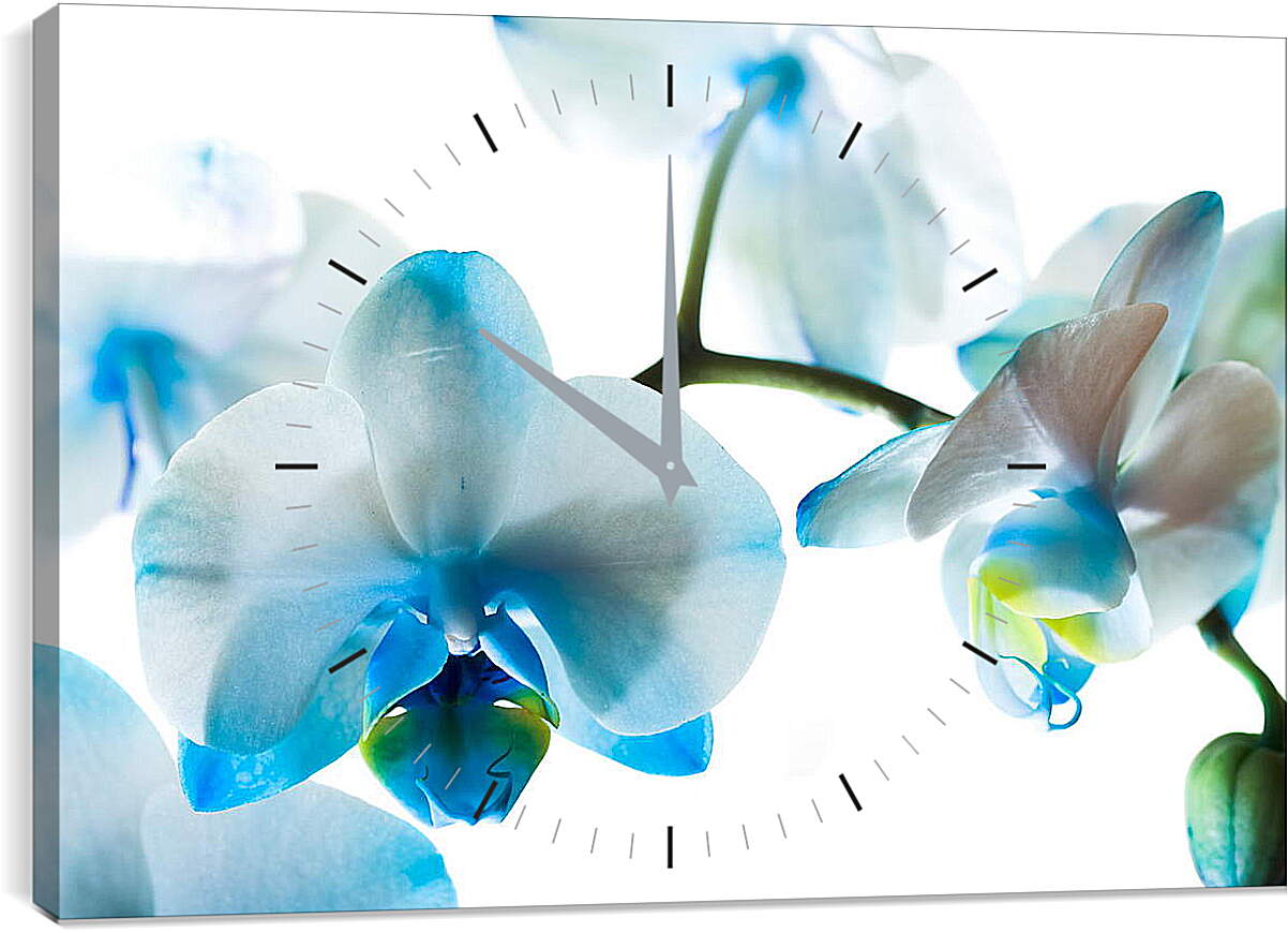 Часы картина - Голубые цветы
