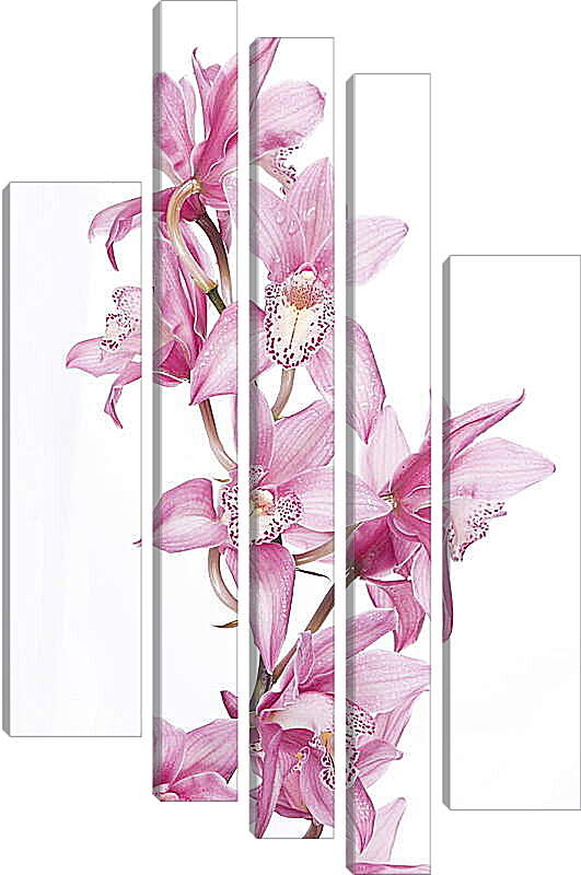 Модульная картина - Орхидеи
