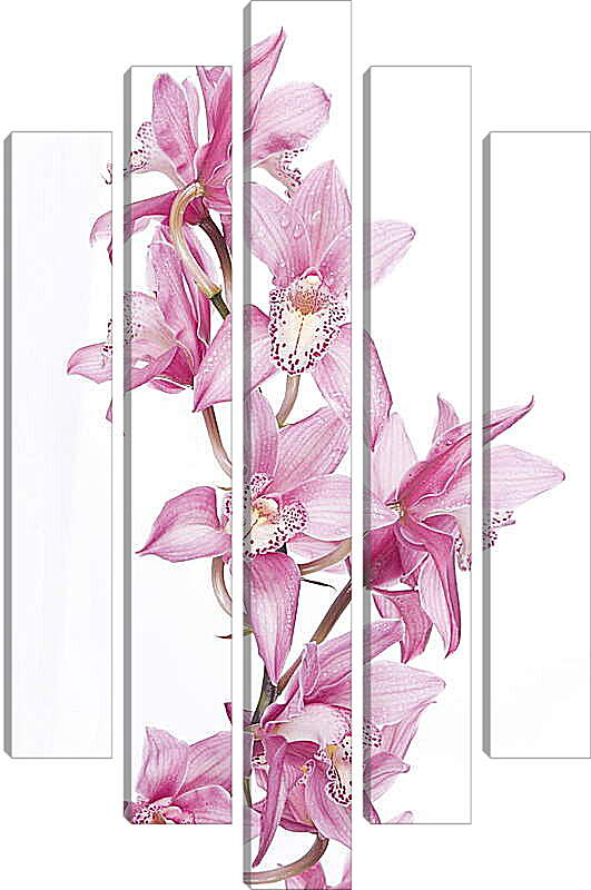 Модульная картина - Орхидеи
