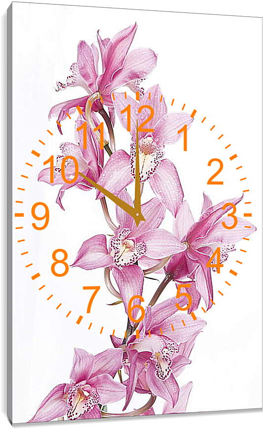 Часы картина - Орхидеи
