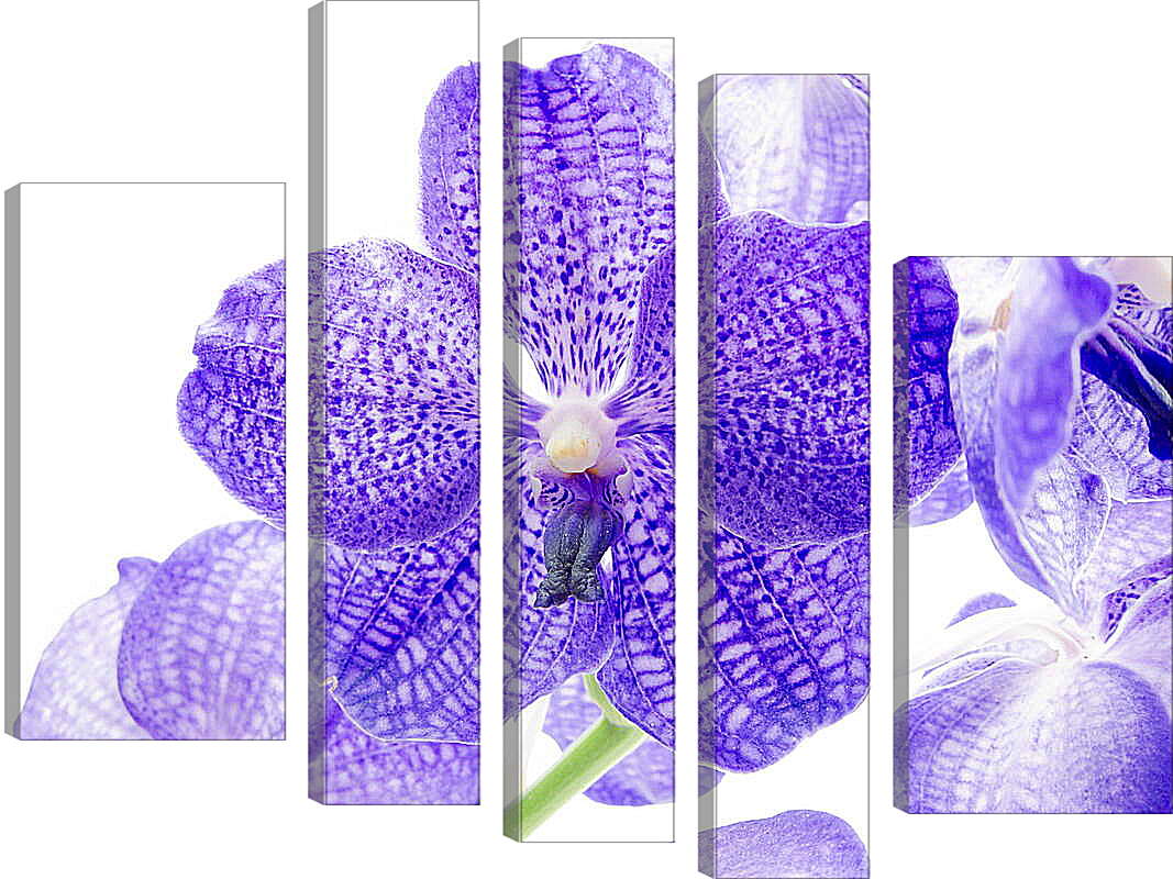 Модульная картина - Фиолетовые цветы
