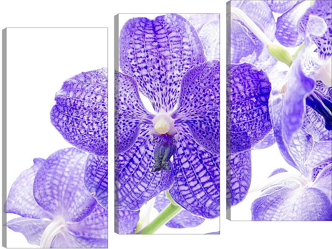 Модульная картина - Фиолетовые цветы
