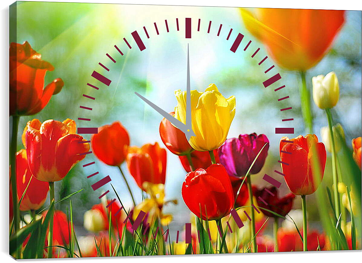 Часы картина - Тюльпаны и луч солнца
