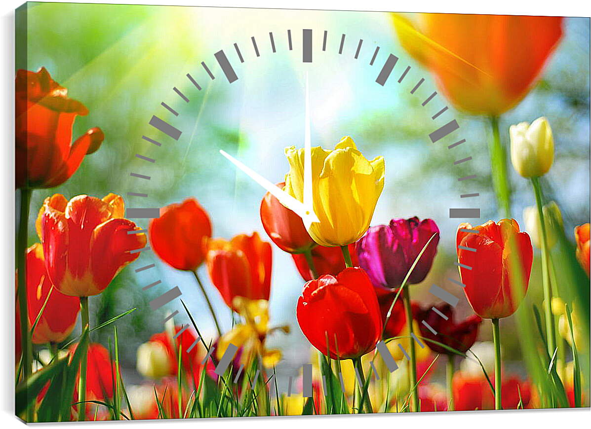 Часы картина - Тюльпаны и луч солнца
