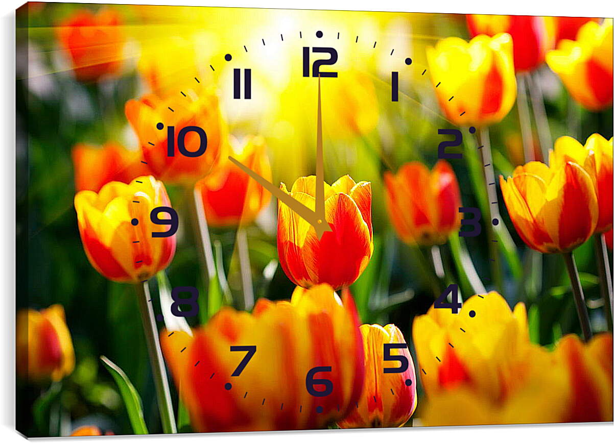 Часы картина - Тюльпаны на солнце
