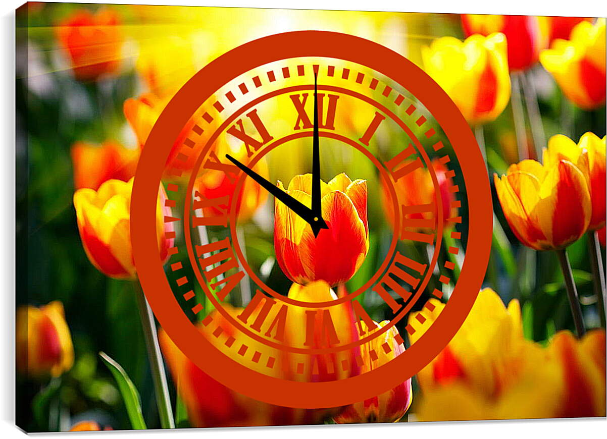 Часы картина - Тюльпаны на солнце
