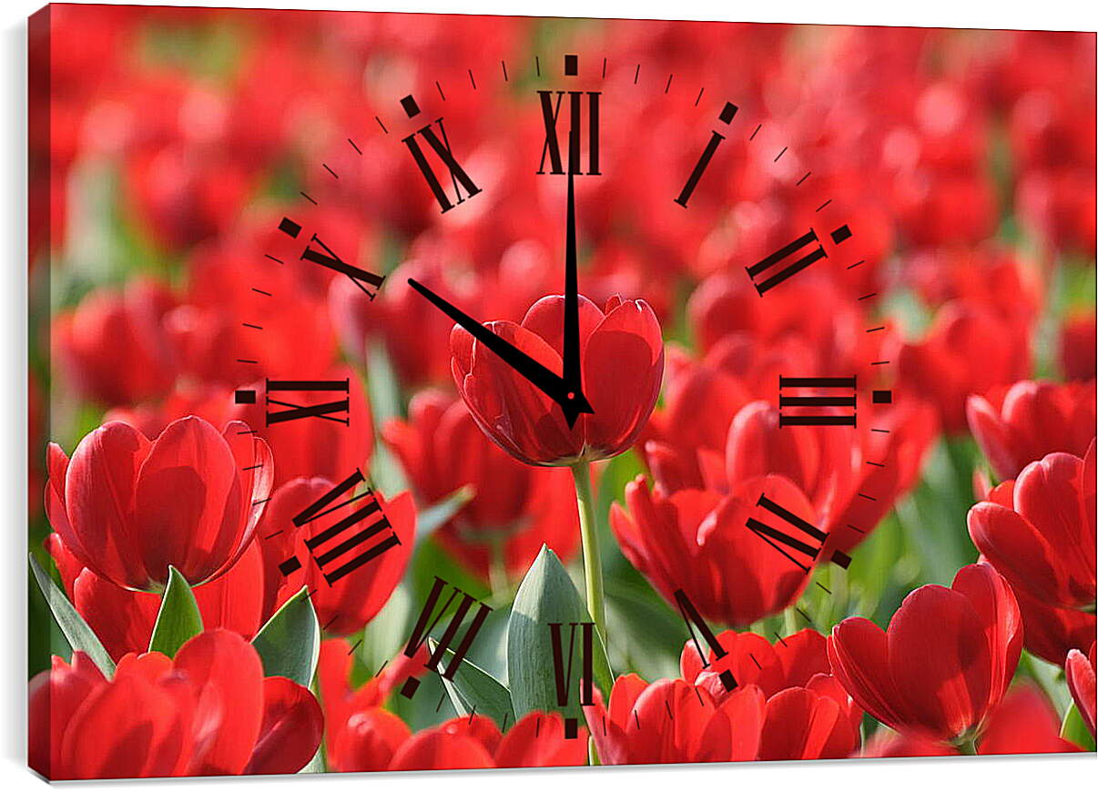 Часы картина - Красные тюльпаны
