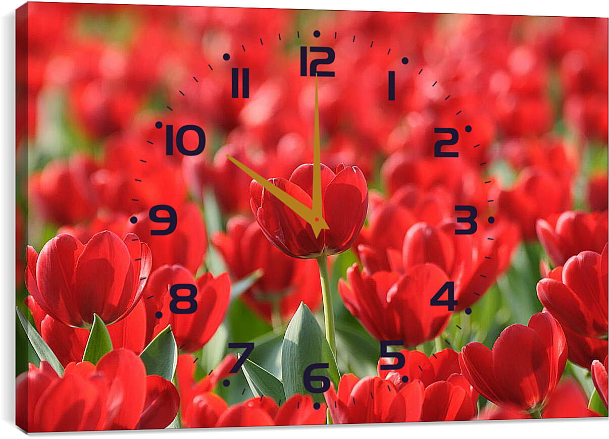 Часы картина - Красные тюльпаны
