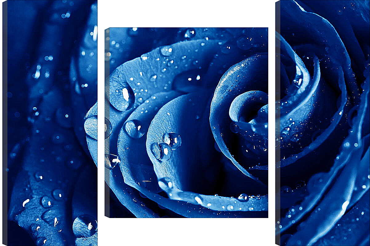 Модульная картина - Синяя роза
