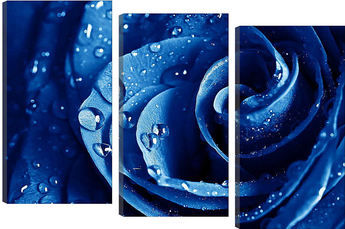 Модульная картина - Синяя роза
