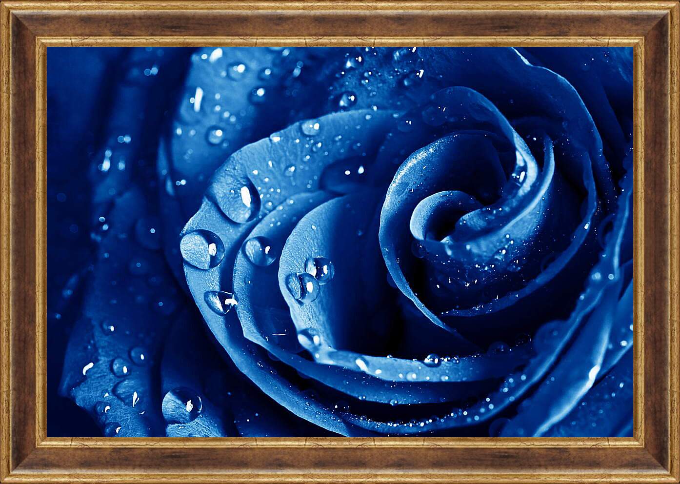 Картина в раме - Синяя роза
