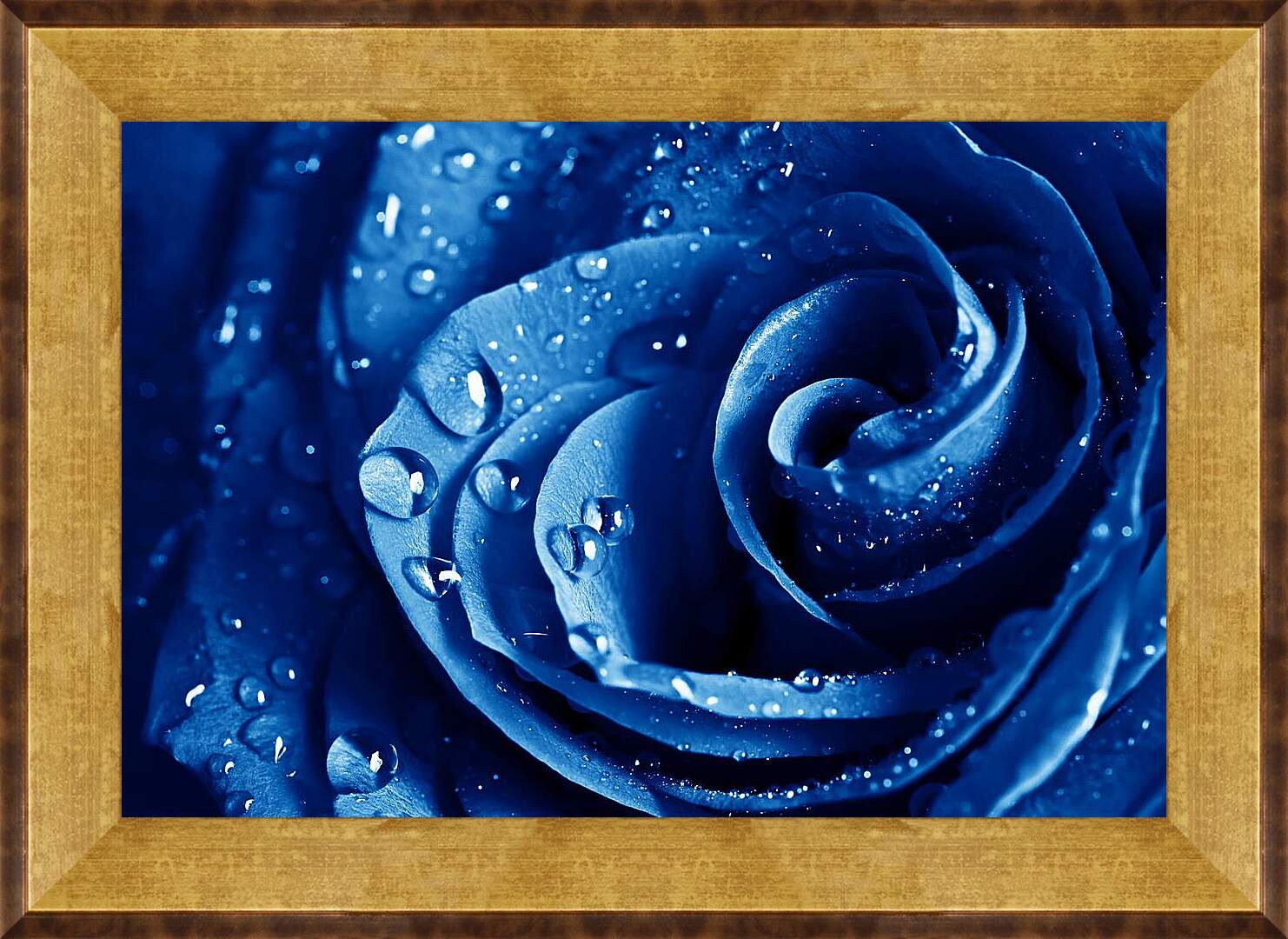 Картина в раме - Синяя роза
