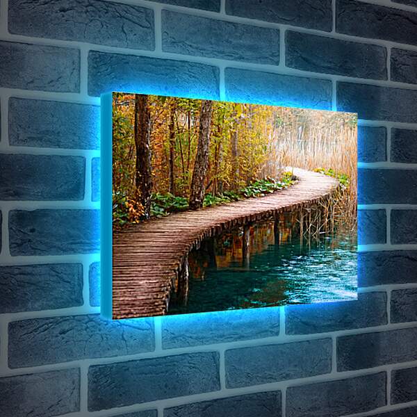 Лайтбокс световая панель - Деревянная тропинка через реку
