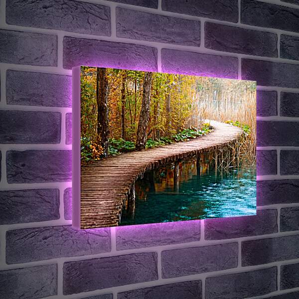 Лайтбокс световая панель - Деревянная тропинка через реку
