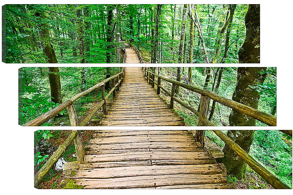 Модульная картина - Деревянный мост в лесу
