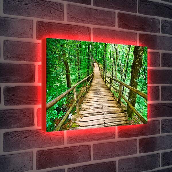 Лайтбокс световая панель - Деревянный мост в лесу
