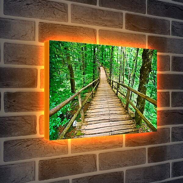 Лайтбокс световая панель - Деревянный мост в лесу
