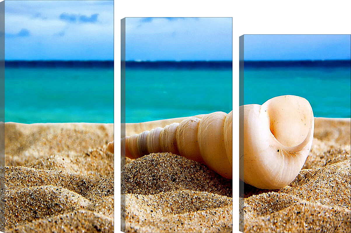 Модульная картина - Ракушка на песке
