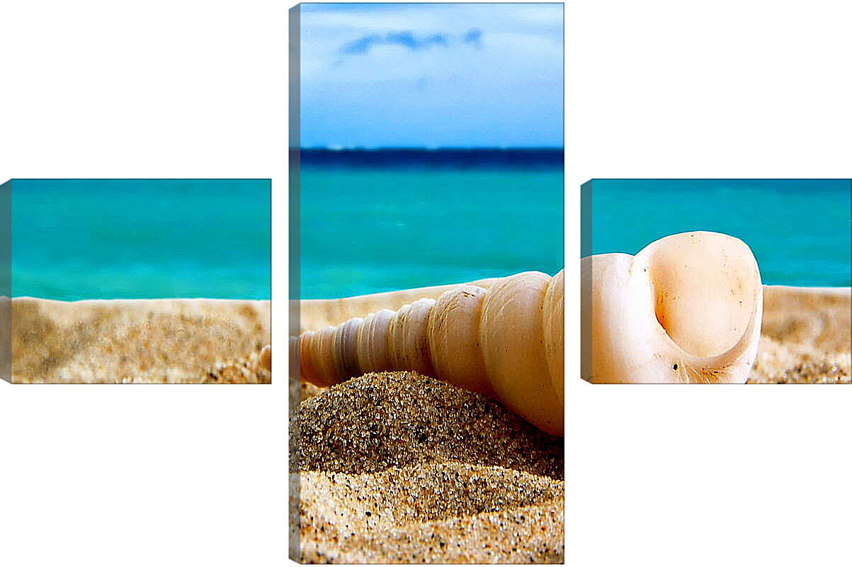 Модульная картина - Ракушка на песке
