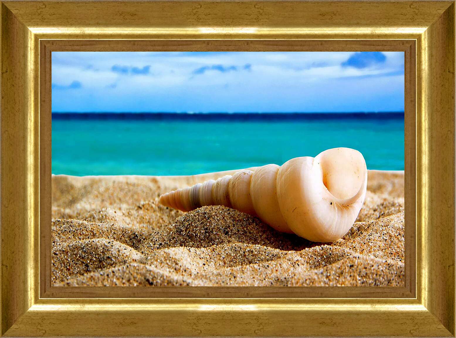 Картина в раме - Ракушка на песке
