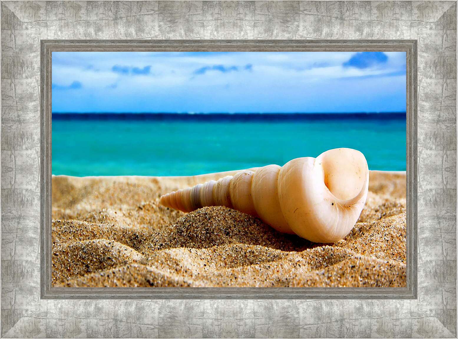 Картина в раме - Ракушка на песке
