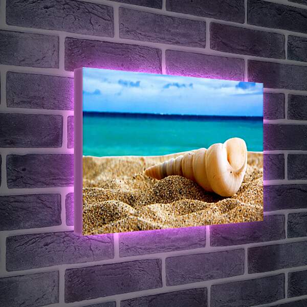 Лайтбокс световая панель - Ракушка на песке
