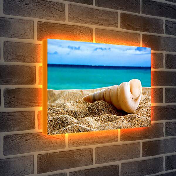 Лайтбокс световая панель - Ракушка на песке
