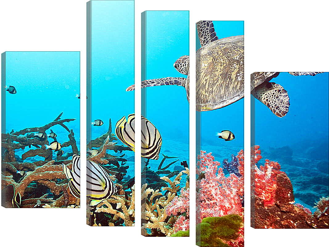 Модульная картина - Кораловый риф
