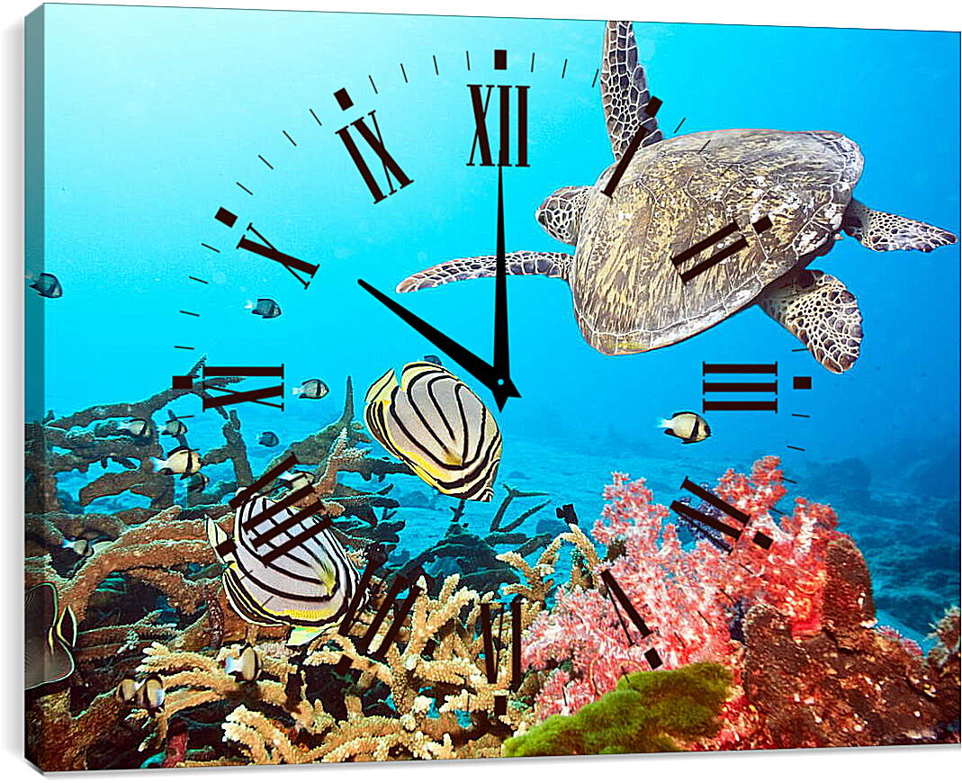 Часы картина - Кораловый риф
