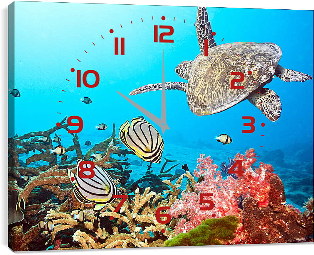 Часы картина - Кораловый риф

