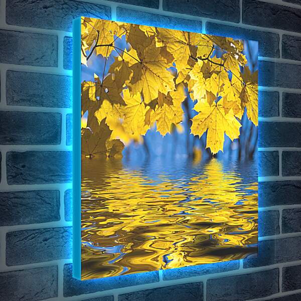 Лайтбокс световая панель - Отражение осени в воде
