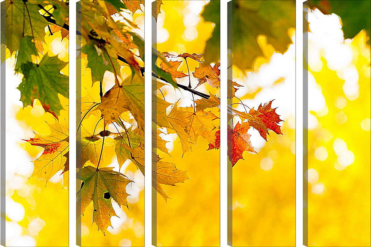 Модульная картина - Осенние листья

