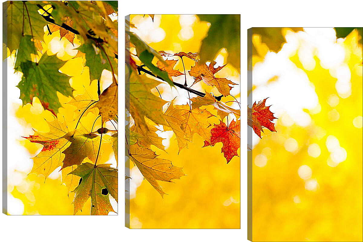 Модульная картина - Осенние листья
