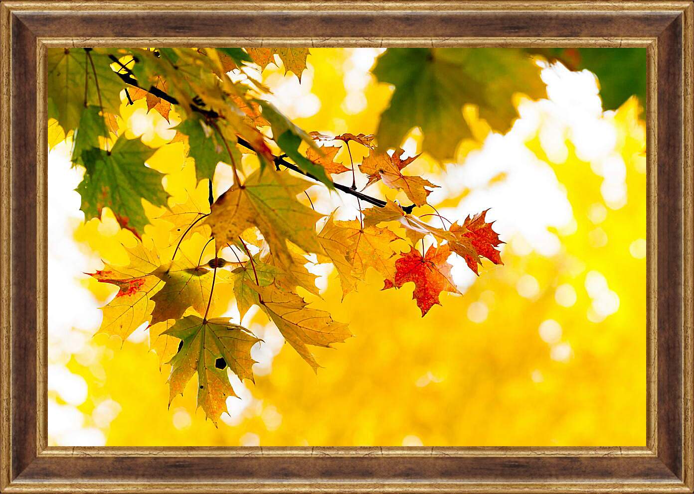 Картина в раме - Осенние листья
